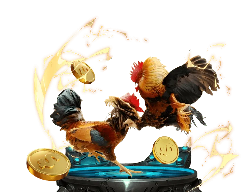 Đá gà trực tuyến 555 Win